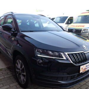 Skoda Karoq 1,5 TSi Clever DSG